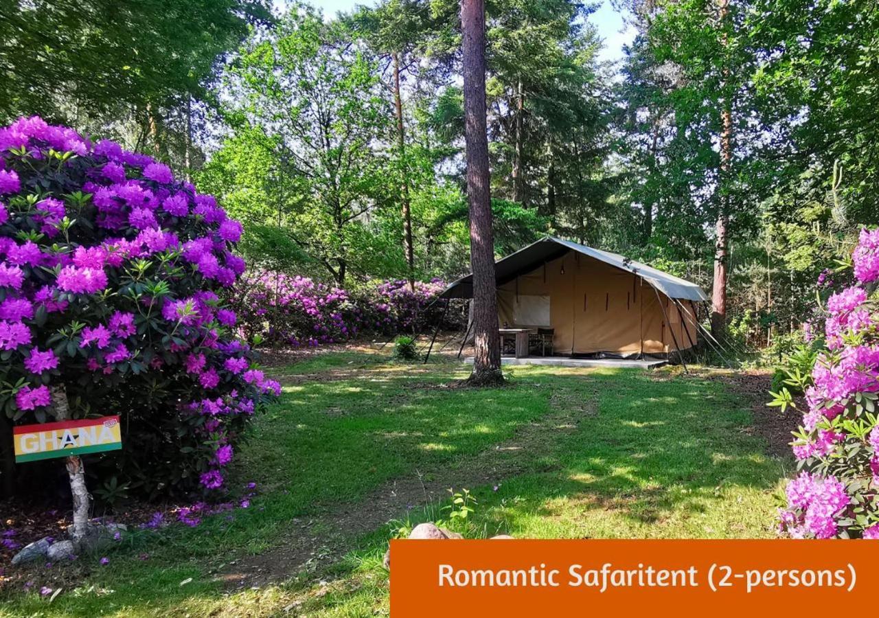 Glamping In Nature By Outdoors Holten Esterno foto
