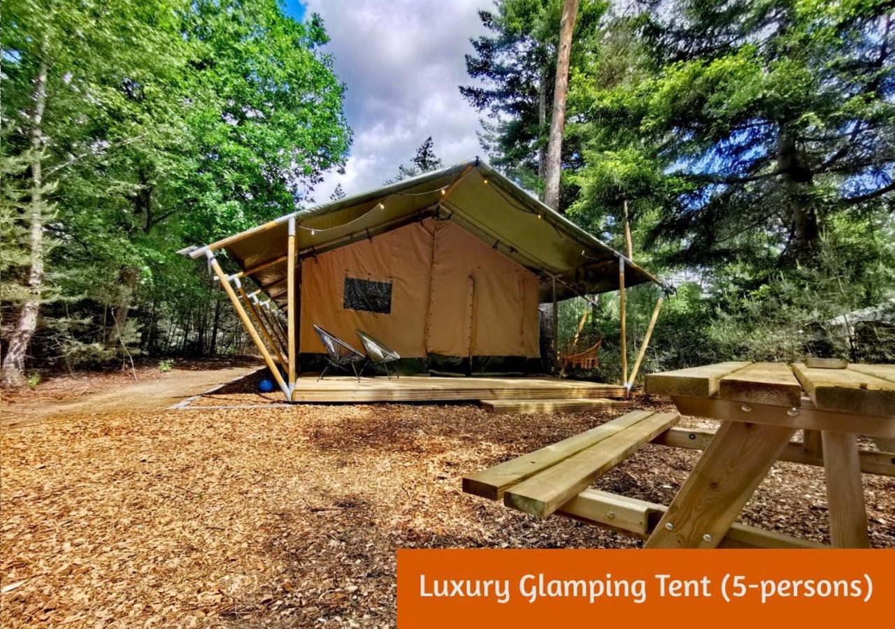 Glamping In Nature By Outdoors Holten Esterno foto