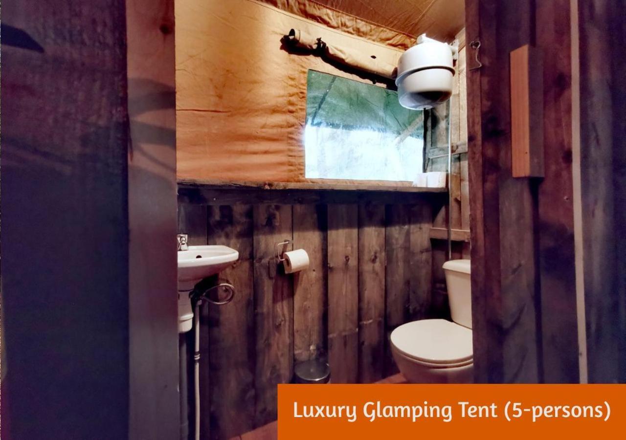 Glamping In Nature By Outdoors Holten Esterno foto