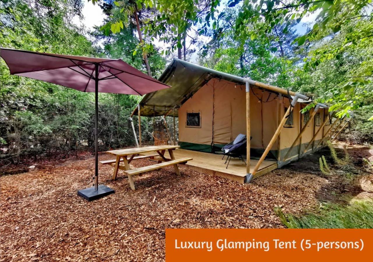 Glamping In Nature By Outdoors Holten Esterno foto