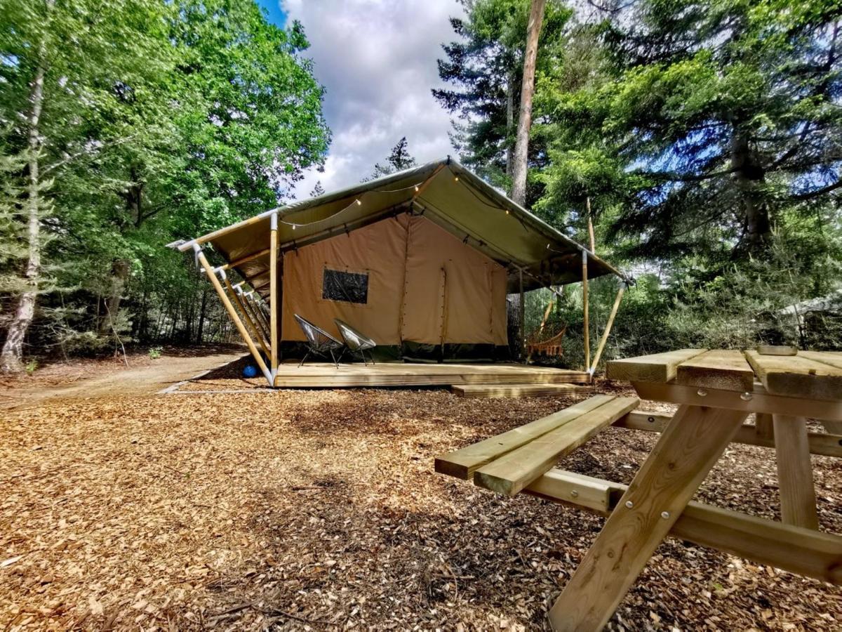 Glamping In Nature By Outdoors Holten Esterno foto