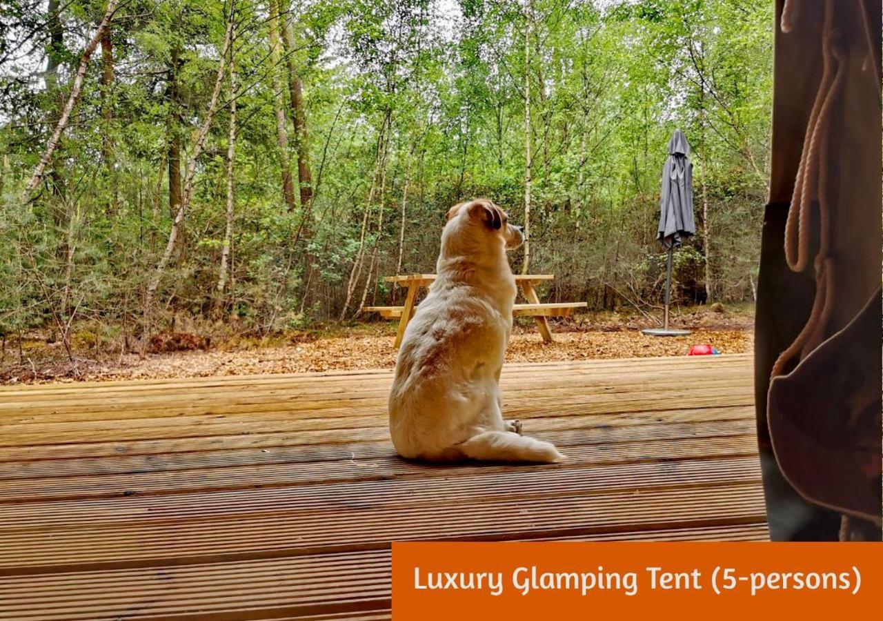 Glamping In Nature By Outdoors Holten Esterno foto