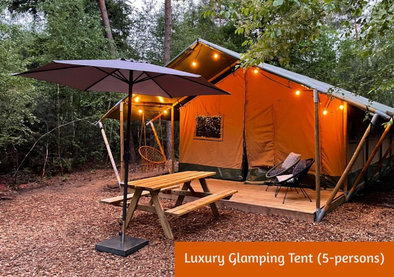 Glamping In Nature By Outdoors Holten Esterno foto